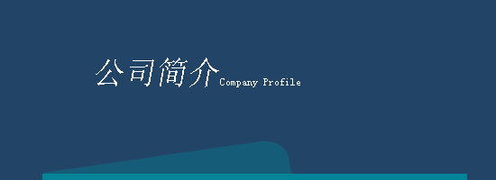 深圳市独孤软件技术有限公司的公司简介